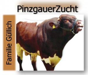 Pinzgauer Zucht